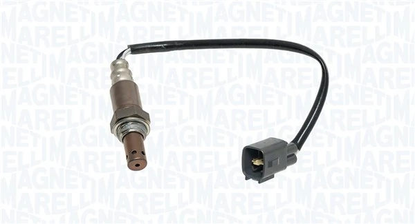 Oxygen Sensor